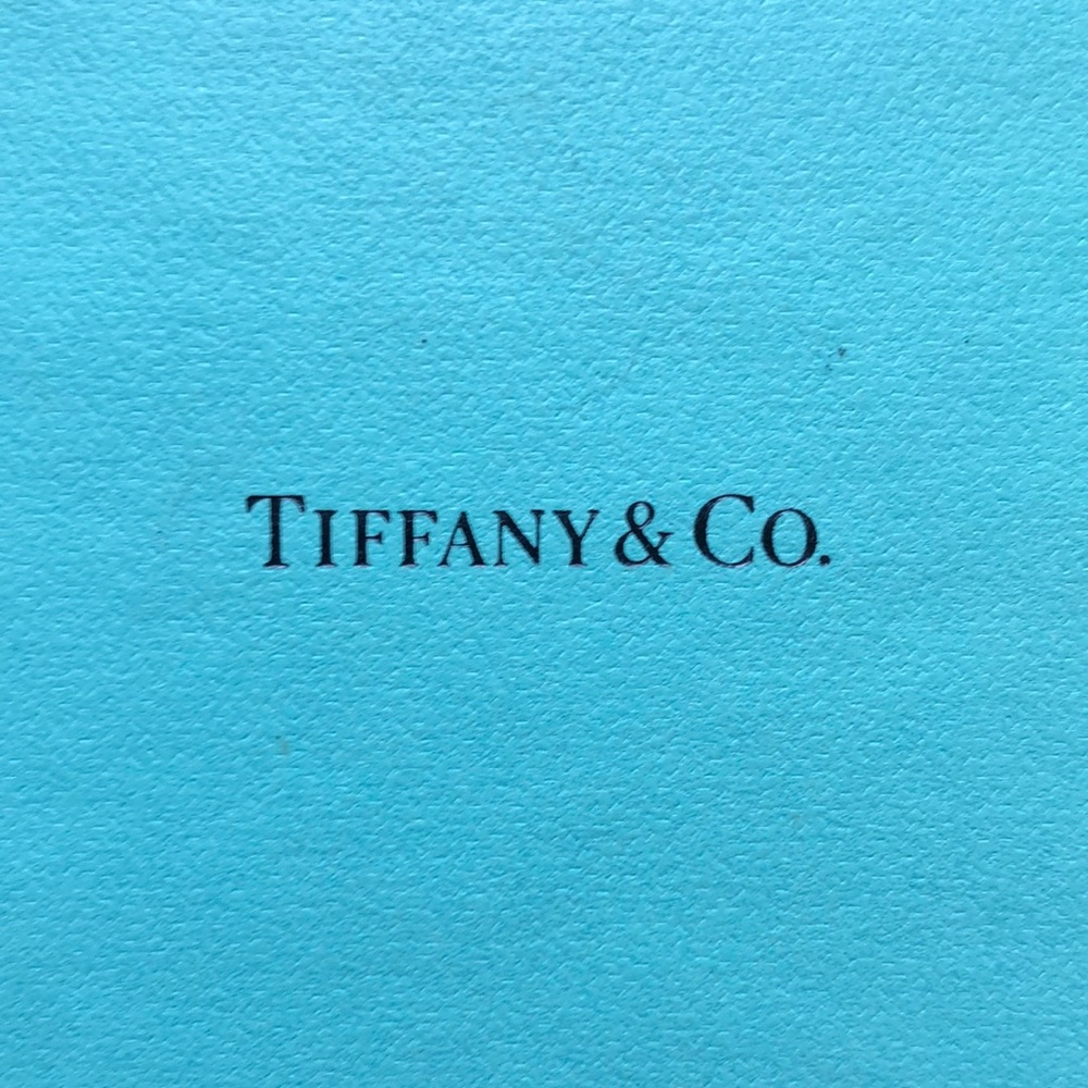 SOLD: Tiffany & Co. Silver Ball Earrings